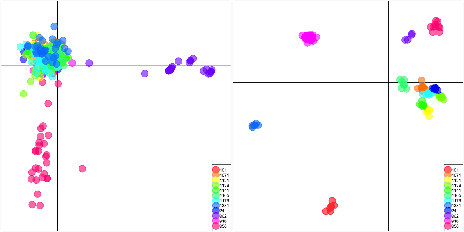 **DAPC biplots for microsatellite and ddRADseq datasets.**