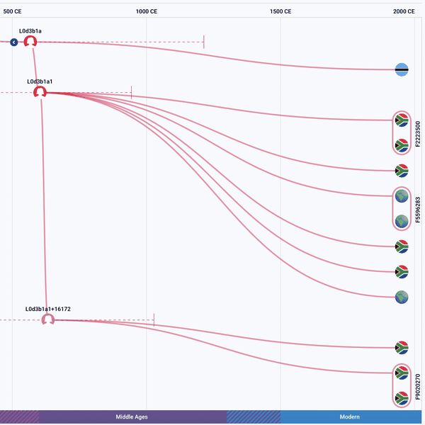 Mitochondrial time tree showing lineages scaled in years