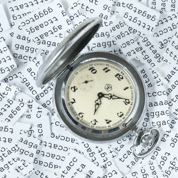A pocket watch resting on printed DNA sequence