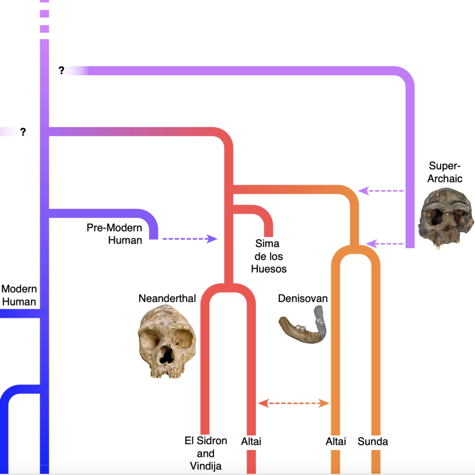 Map of triangulated ancestral locations inferred from ancient DNA