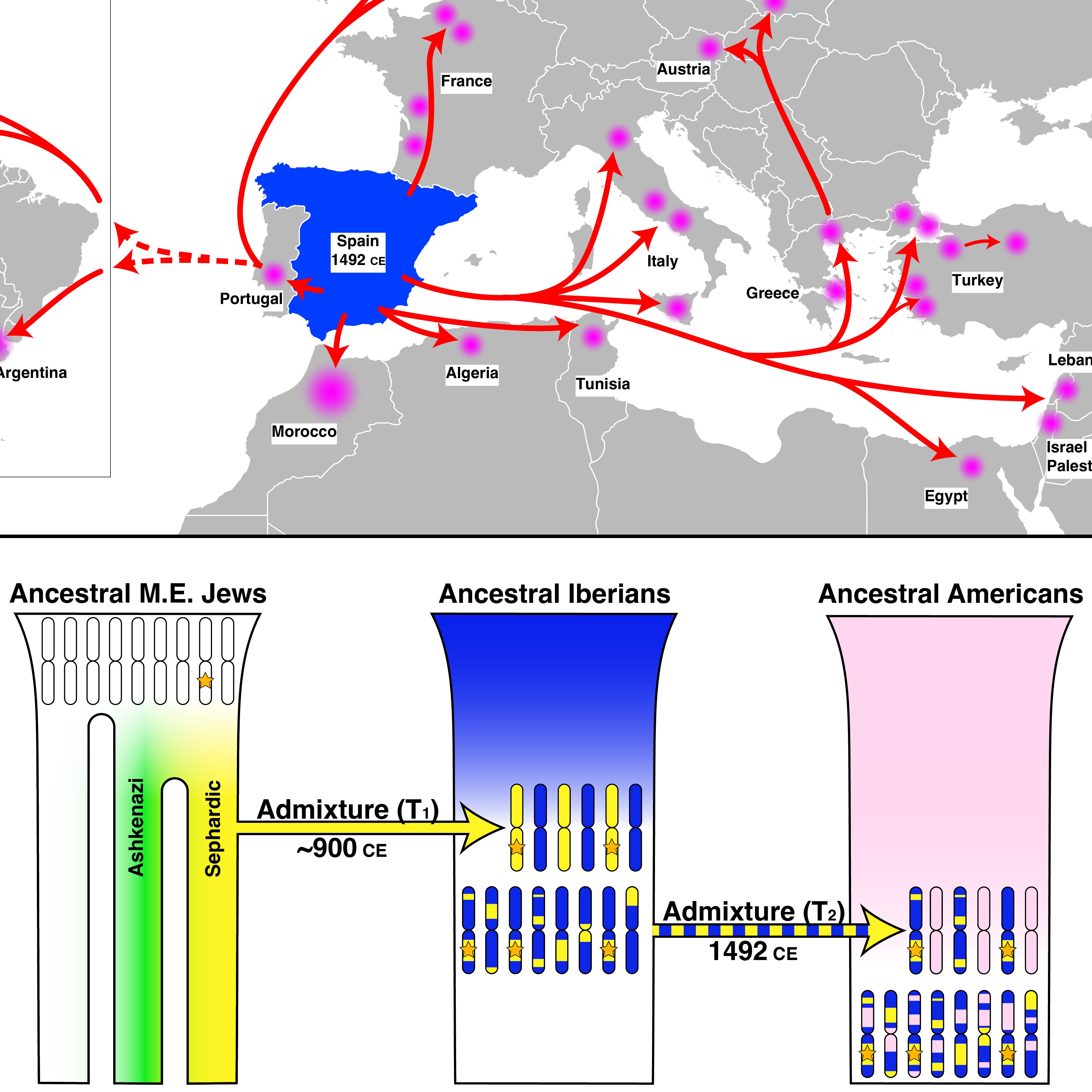Chromosome painting across many individuals sharing a founder mutation