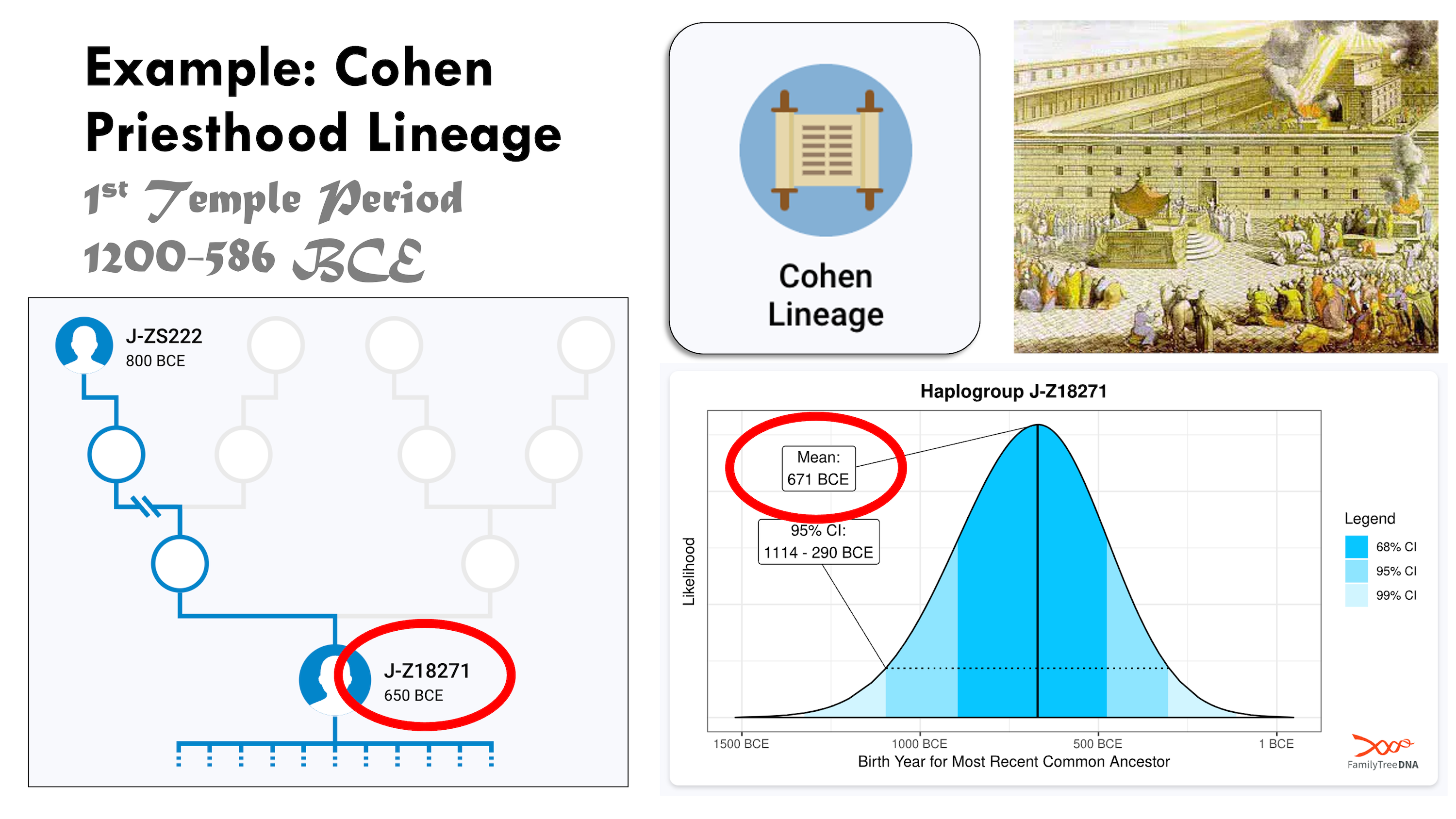 Worked example dating the Cohen priesthood lineage haplogroup J-Z18271
