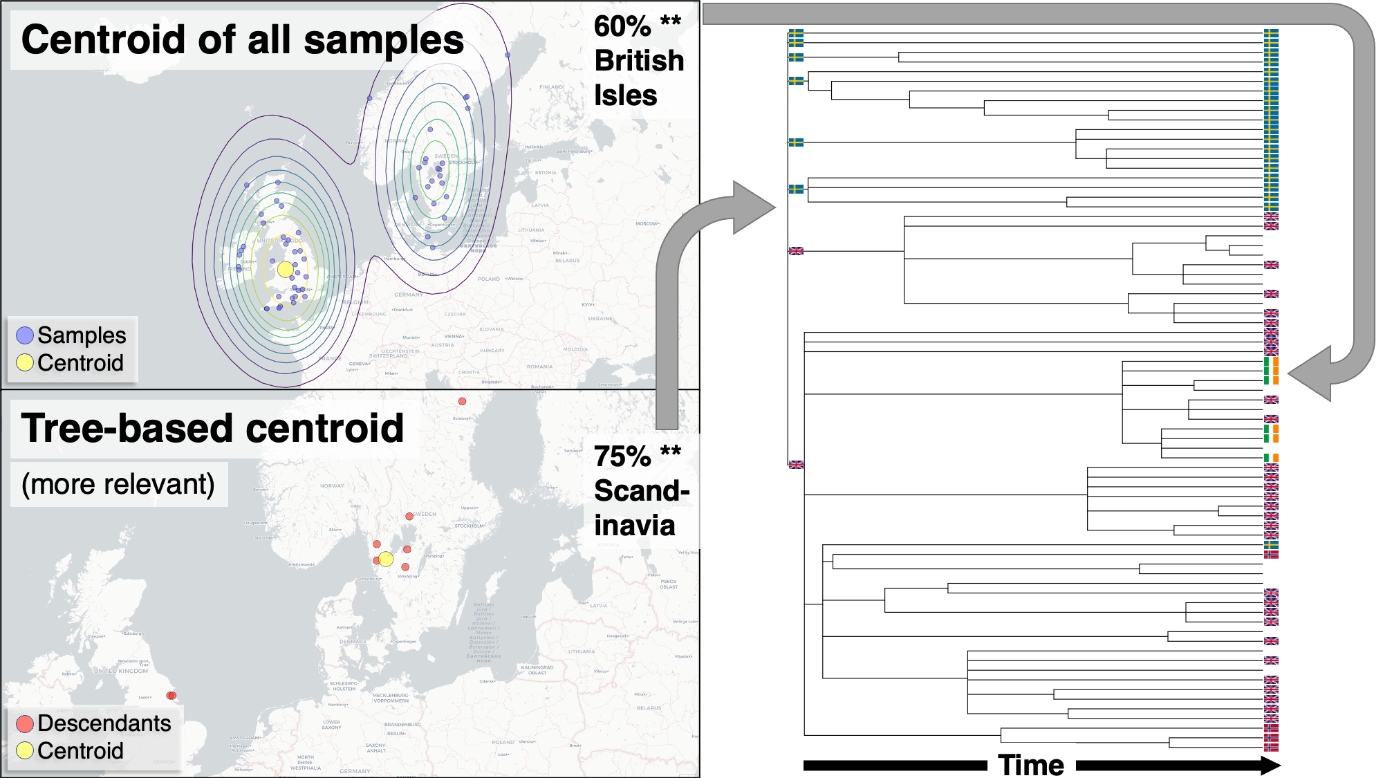 Centroid of all samples compared with a tree-based centroid for the same haplogroup