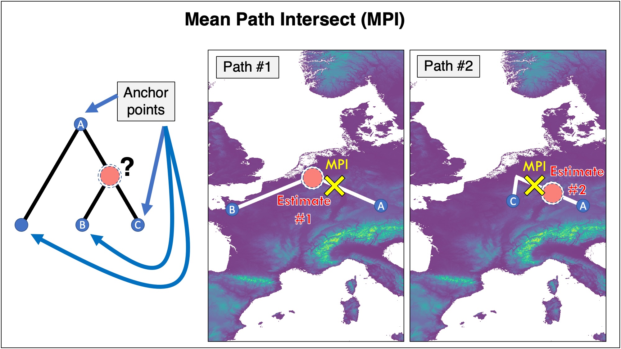 Mean Path Intersect combining multiple candidate paths through a haplogroup
