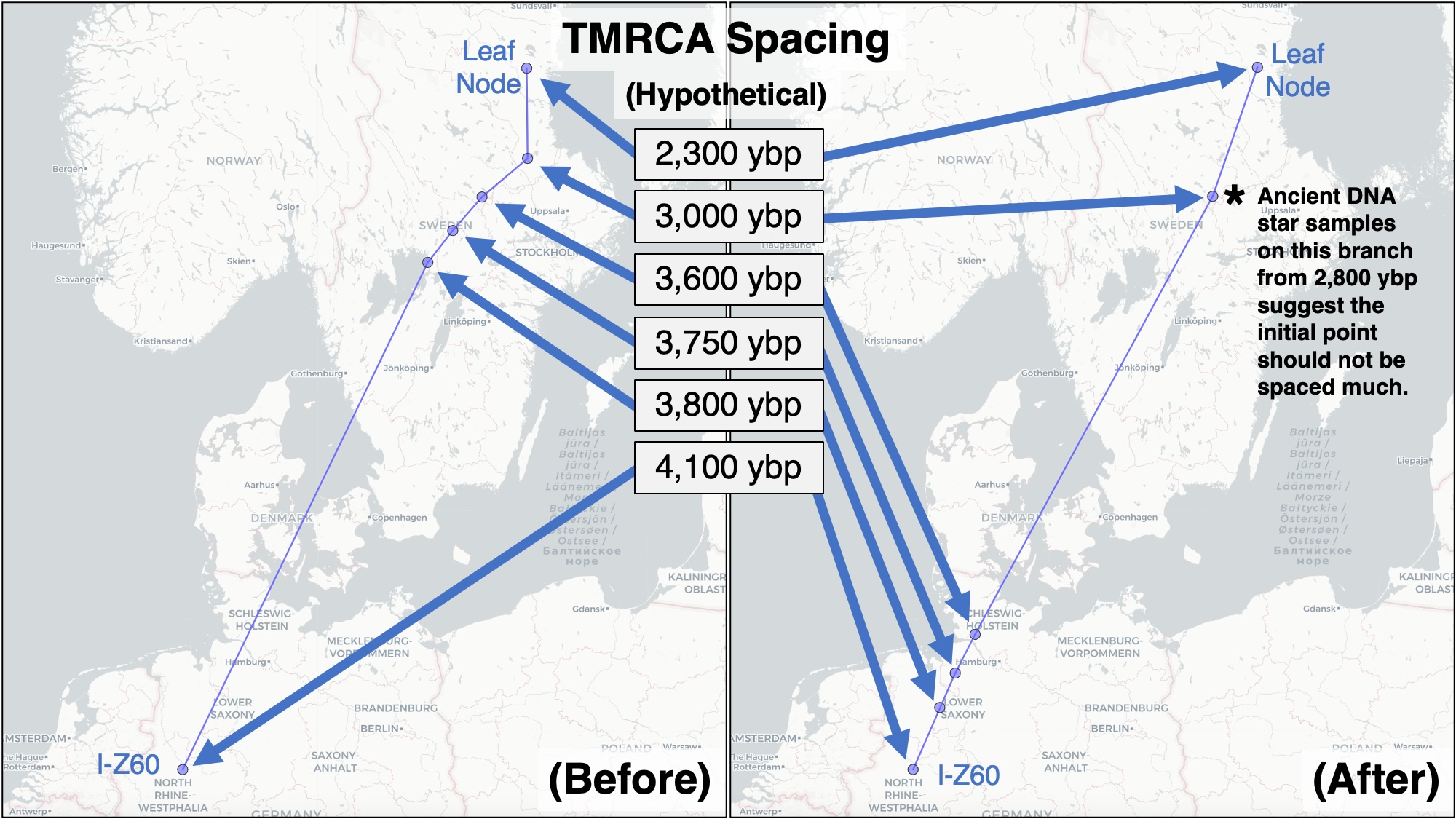 Haplogroup positions along a migration path before and after TMRCA spacing