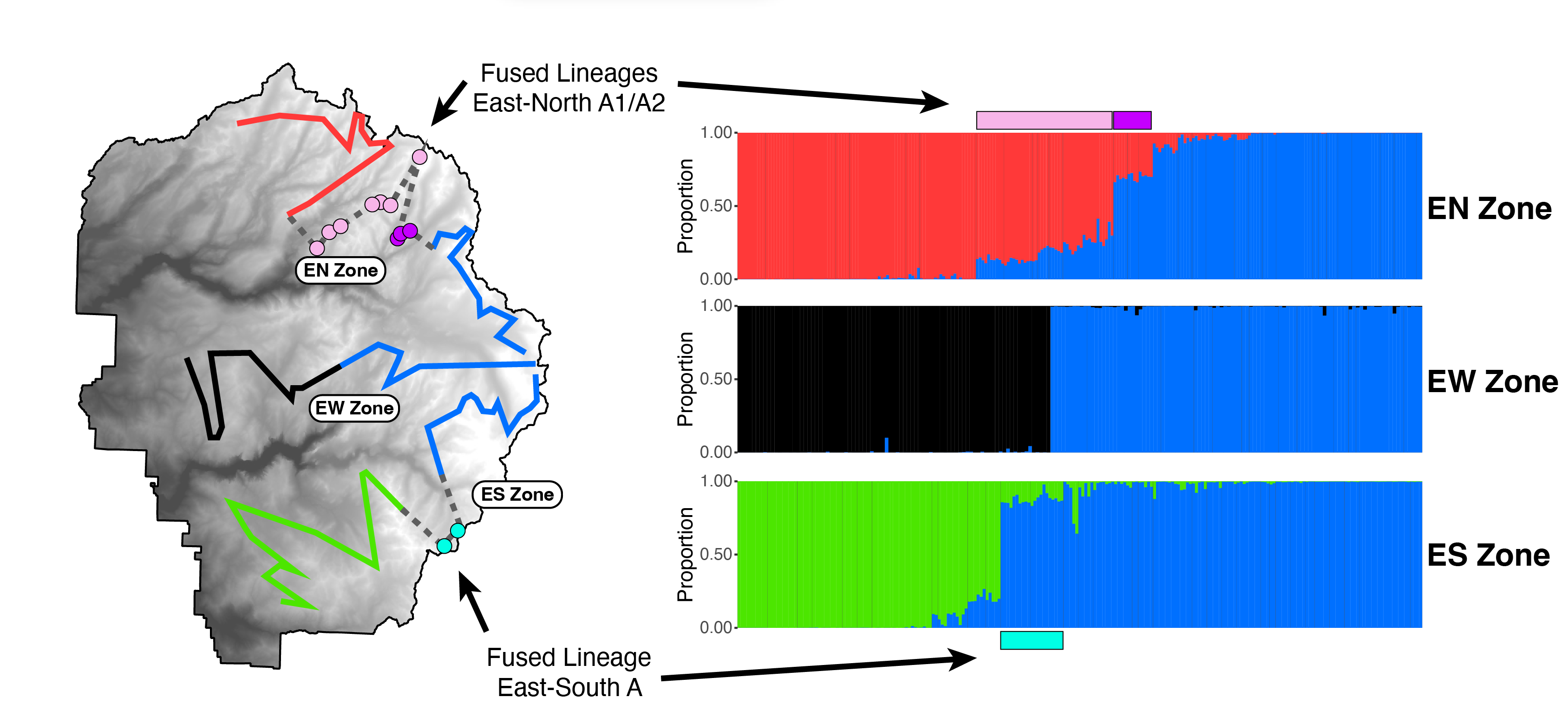 Map of three Yosemite toad contact zones with admixture proportions in each