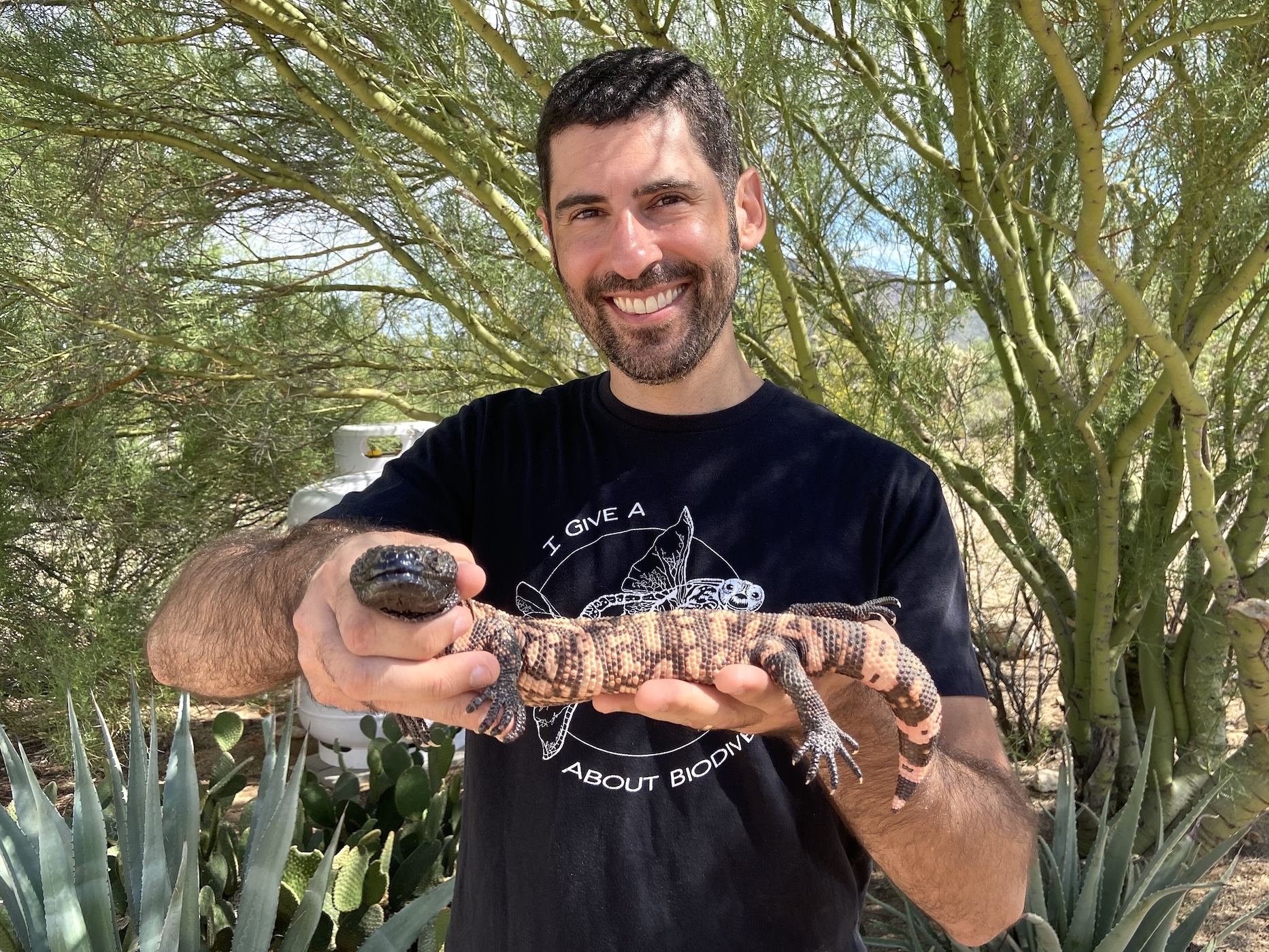 Gila monster photographed in the field