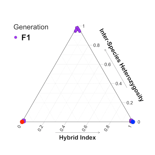 hybridclock R package