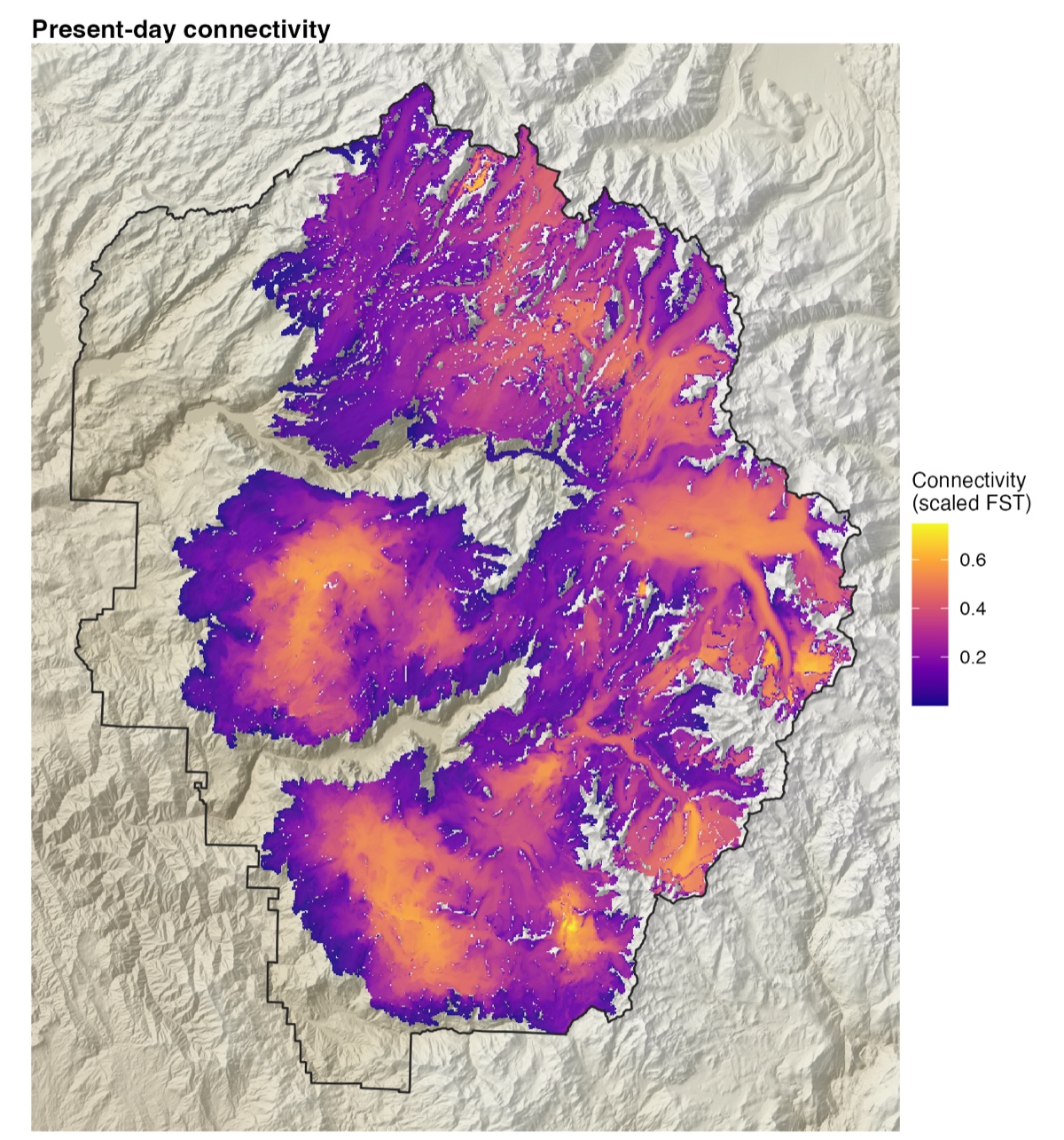 Map of present-day connectivity among Yosemite toad meadows