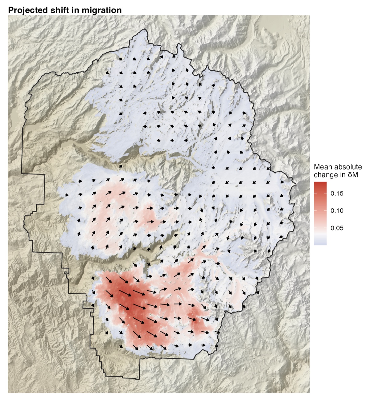 Map of projected asymmetrical migration shift with arrows showing net direction