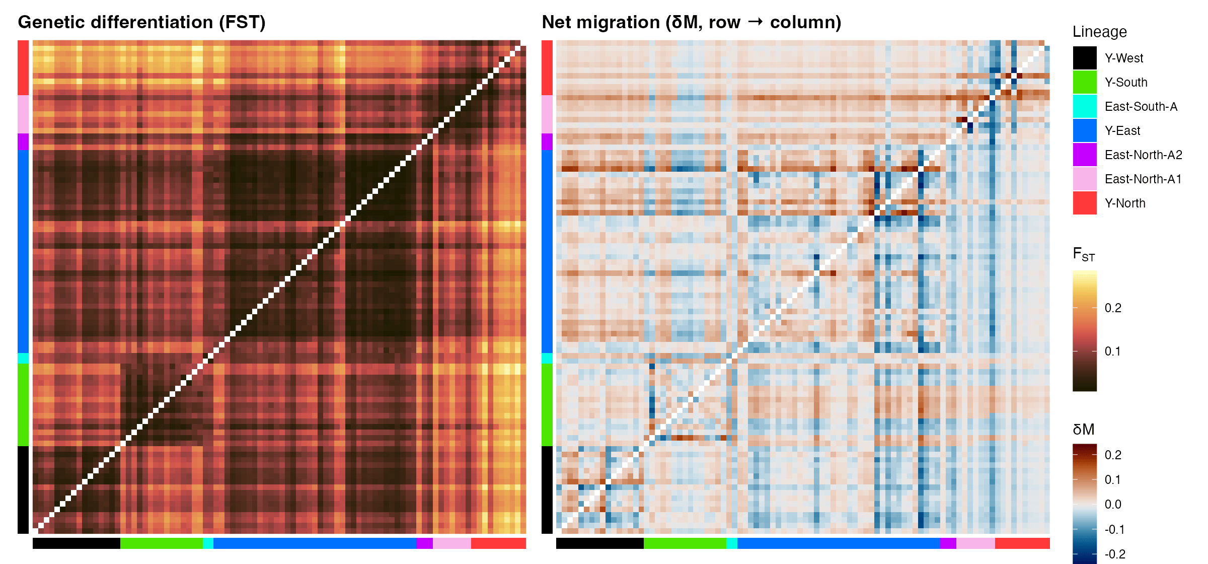 Heat maps of pairwise FST and directional migration among 90 Yosemite toad meadows, ordered by lineage
