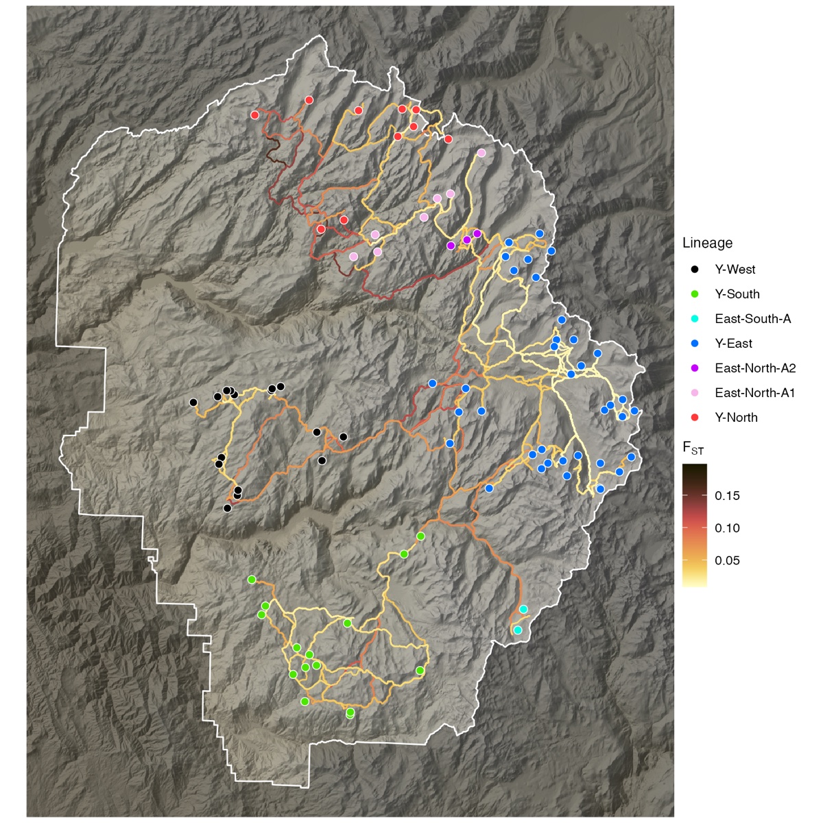 Map of least cost paths between Yosemite toad meadows colored by FST, with meadows colored by lineage